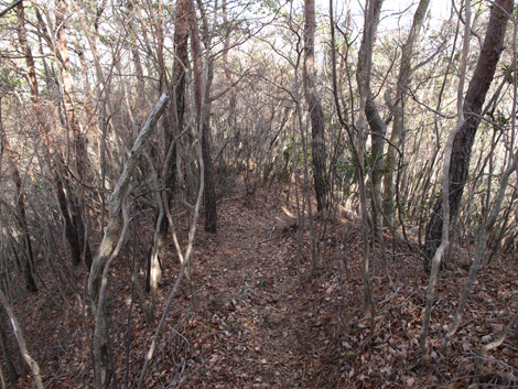 20140103hike (195)